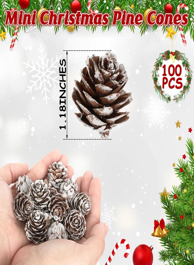 Helimoto 100 Pcs Snow Pine Cones, Mini Pinecones for Craft, Natural Cones Wreath, Christmas Bowl Stuff Winter Decorations Decor Accessories Party Suppliesfor Home Indoor Vase Filler - Image 2